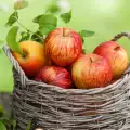 Как да добием здрави и големи ябълки в градината