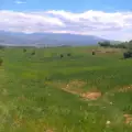 Как се сменя статута на земя?