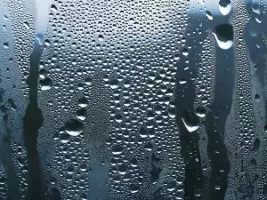 Как да предпазим дома от влага през есента