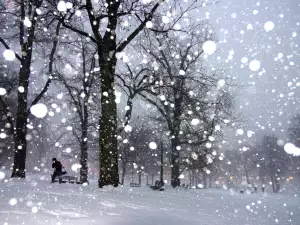 Какво означават сънищата със сняг, снеговалеж и преспи?