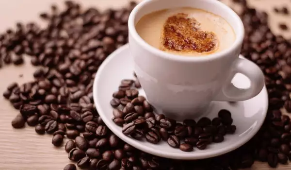 Кафе Арабика и кафе Робуста - каква е разликата?