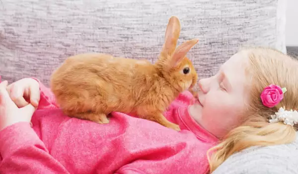 Защо хапят зайците