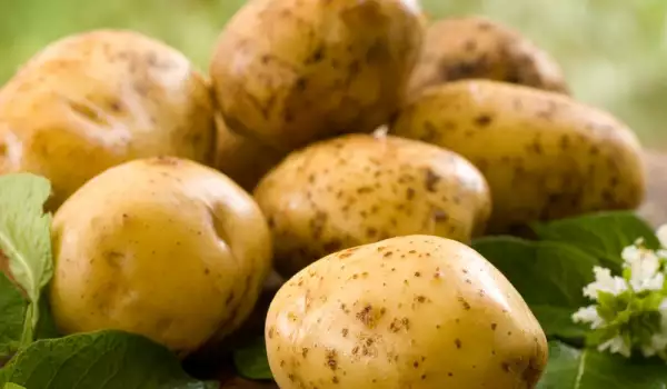 Колко картофи се вадят от декар?