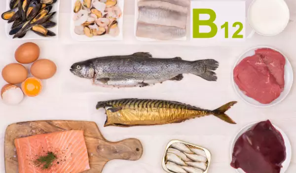 Източници на витамин B12
