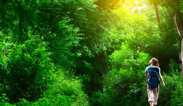 Колко стъпки на ден са полезни за здравето ни