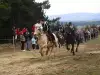 Кога има имен ден Теодора